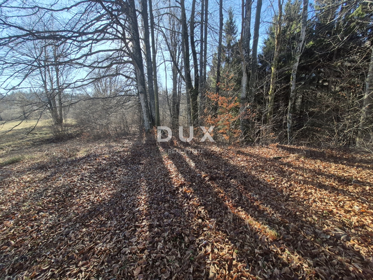GORSKI KOTAR, FUŽINE - terreno edificabile 823 m2 - opportunità di investimento!