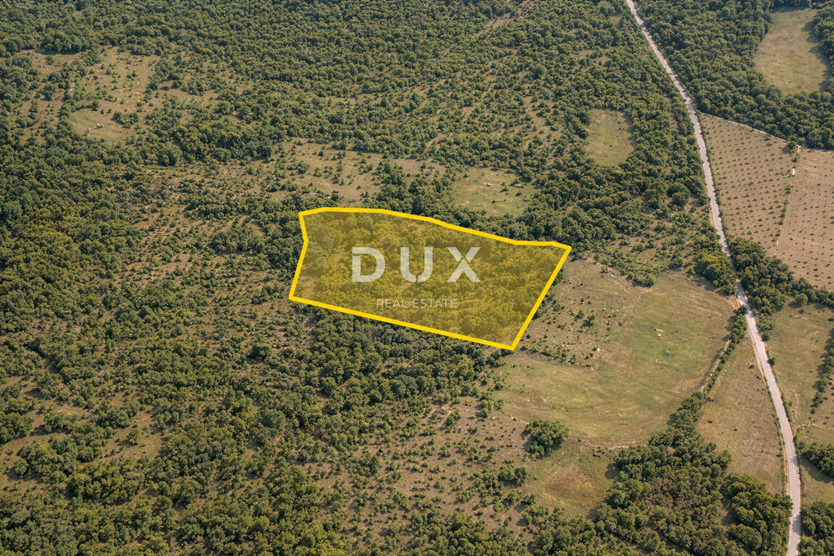 ISTRIA, BALE - Terreno agricolo nel cuore della natura istriana