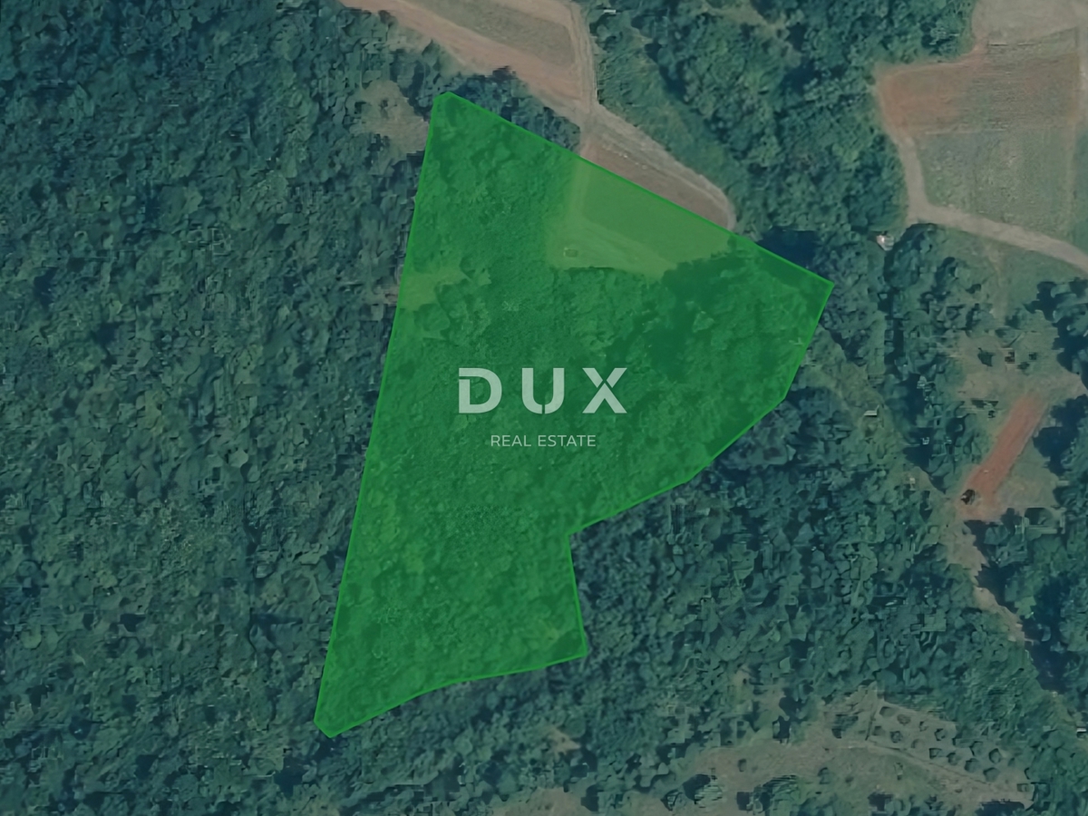 ISTRIA, VIŠNJAN - Ampio terreno boschivo