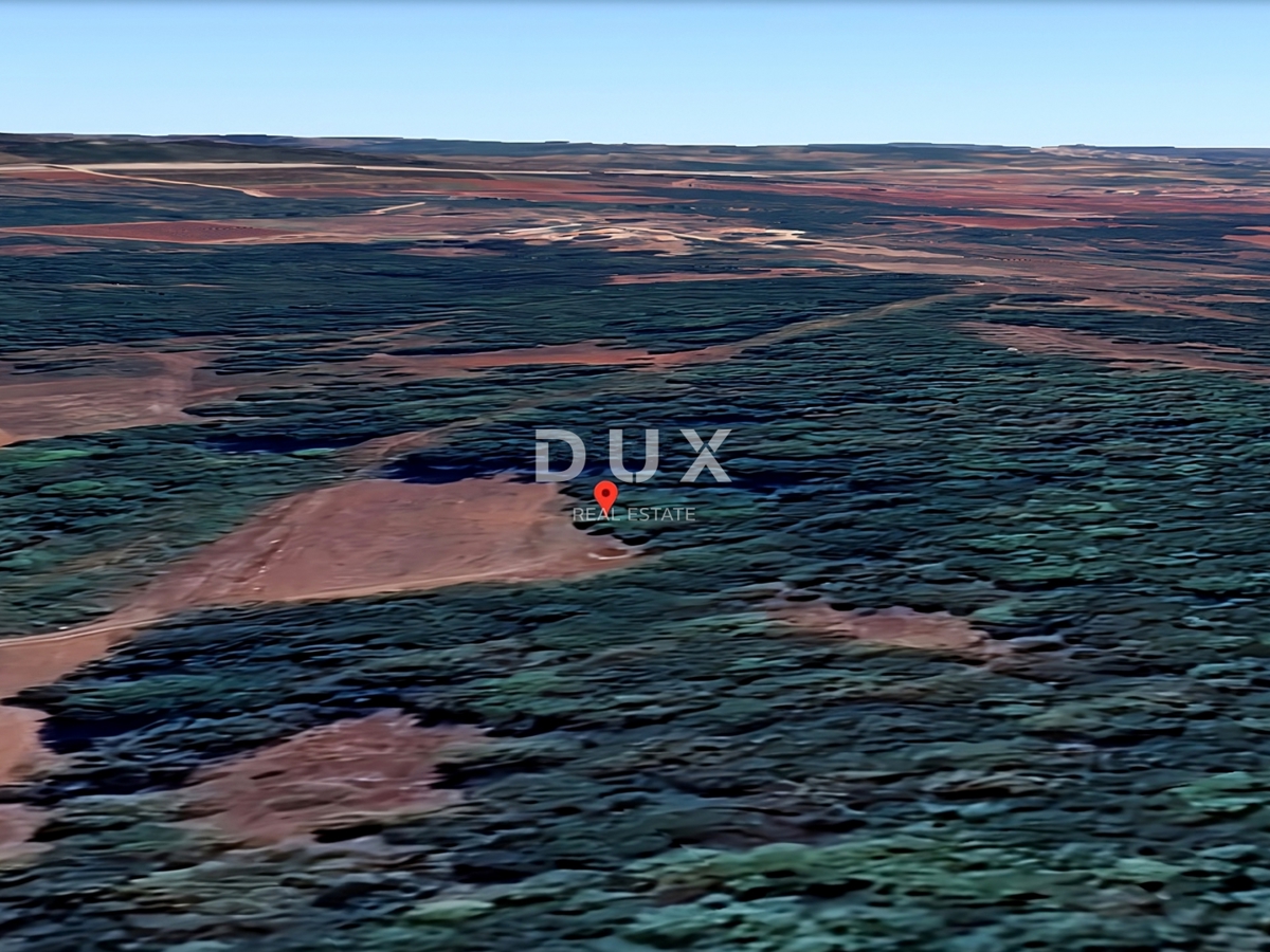 ISTRIA, VIŠNJAN - Ampio terreno boschivo