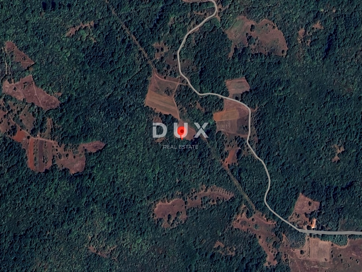 ISTRIA, VIŠNJAN - Ampio terreno boschivo