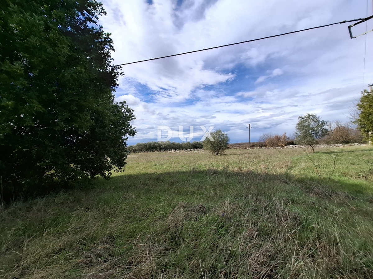 ISTRIA, LOVREČ - Terreno edificabile