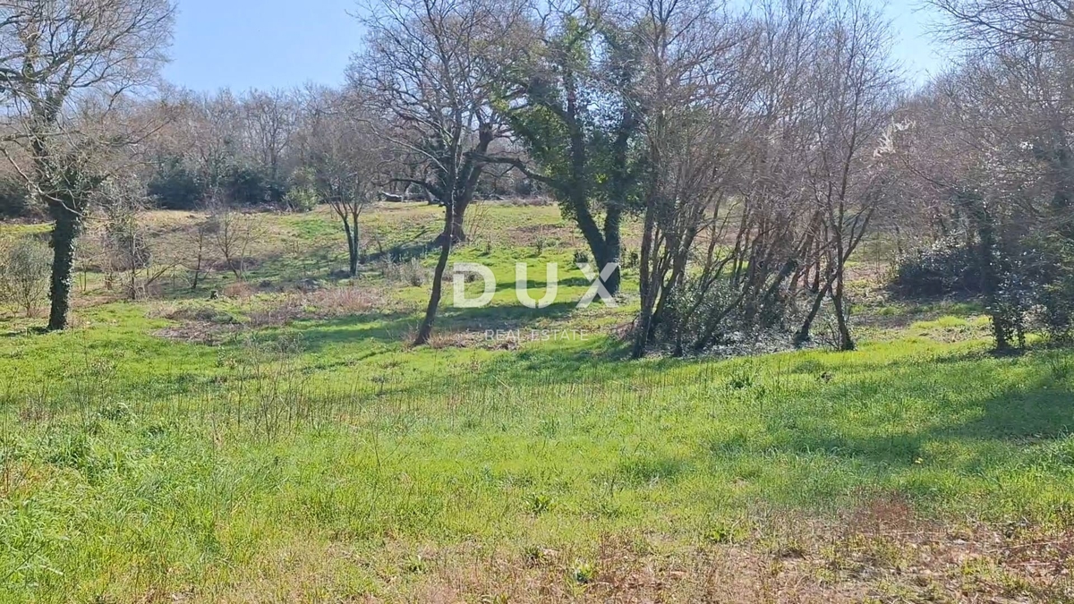 ISTRIA, MARČANA - Terreno edificabile 1137 mq