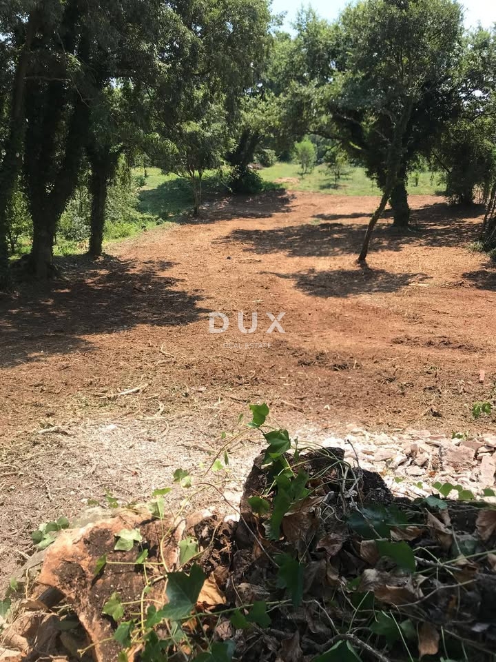 ISTRIA, MARČANA - Terreno edificabile 1137 mq