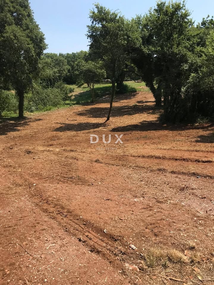 ISTRIA, MARČANA - Terreno edificabile 1137 mq