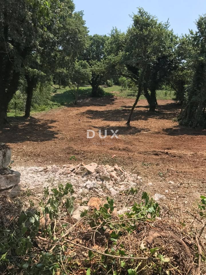 ISTRIA, MARČANA - Terreno edificabile 1137 mq
