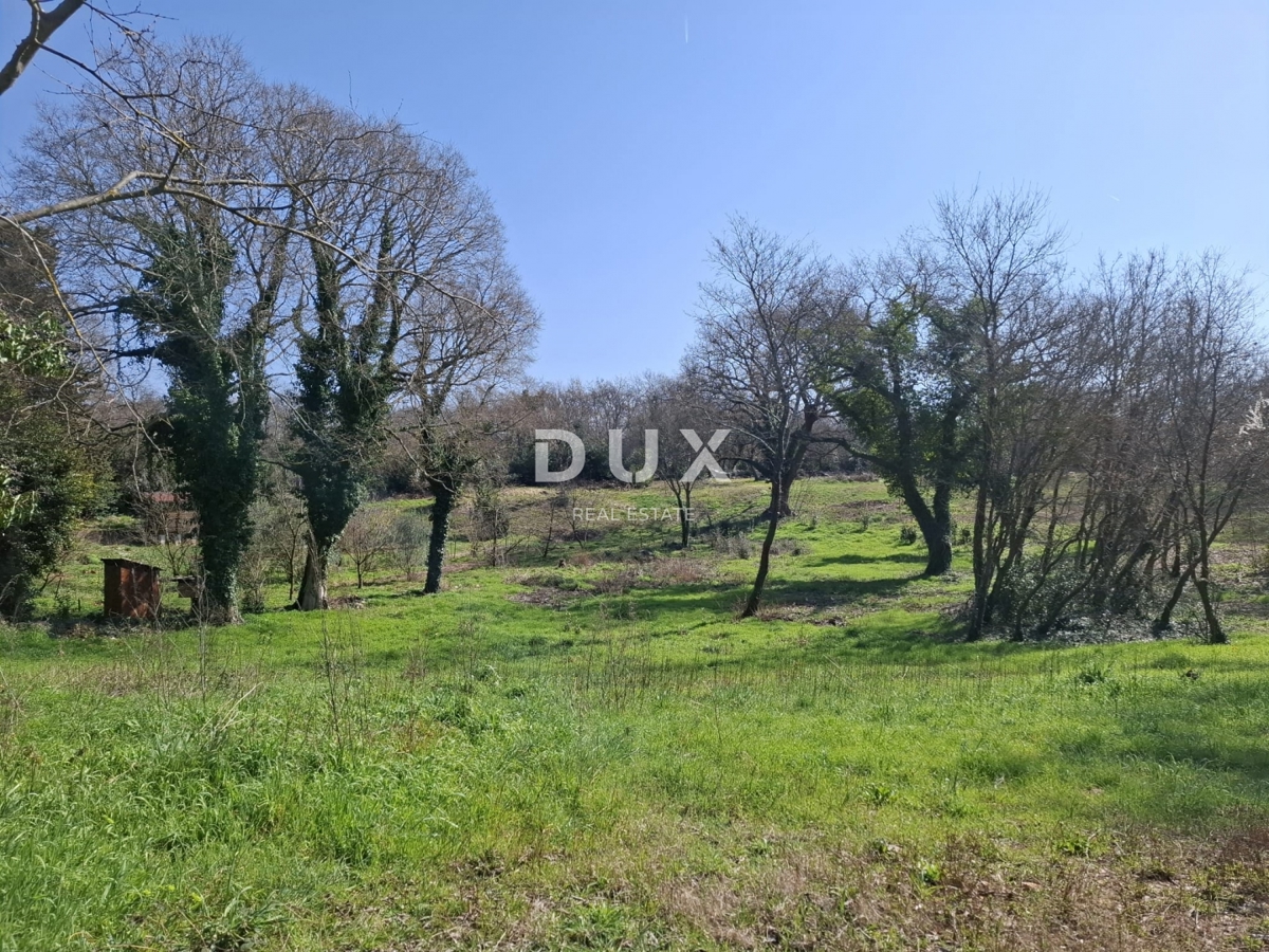 ISTRIA, MARČANA - Terreno edificabile 1137 mq