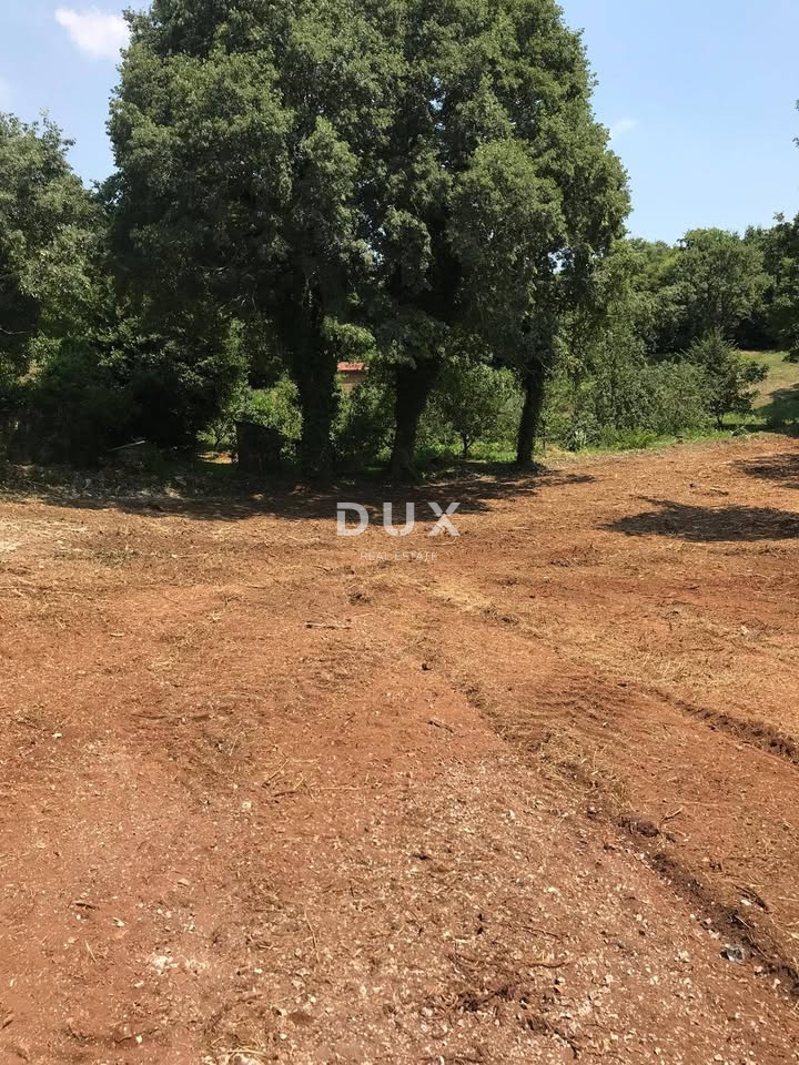 ISTRIA, MARČANA - Terreno edificabile 1137 mq