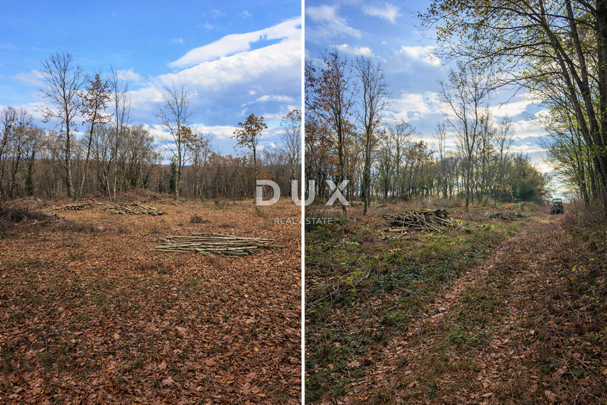 ISTRIA, KRINGA - Bellissimo terreno edificabile