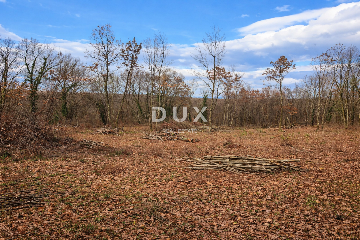 ISTRIA, KRINGA - Bellissimo terreno edificabile