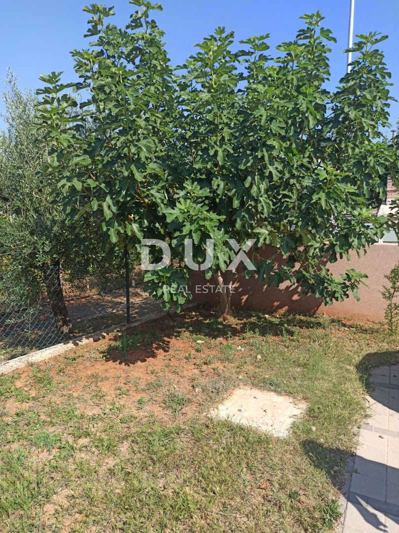 ISTRIA, POLA - Casa familiare ristrutturata in posizione tranquilla