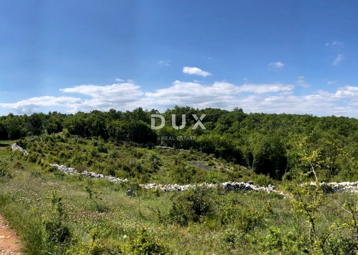 ISTRIA, BARBAN - Ampio terreno con permesso di costruire