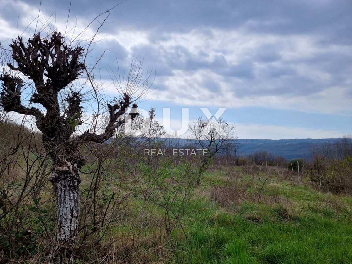 ISTRIA, LABIN - Una tenuta di dimensioni invidiabili