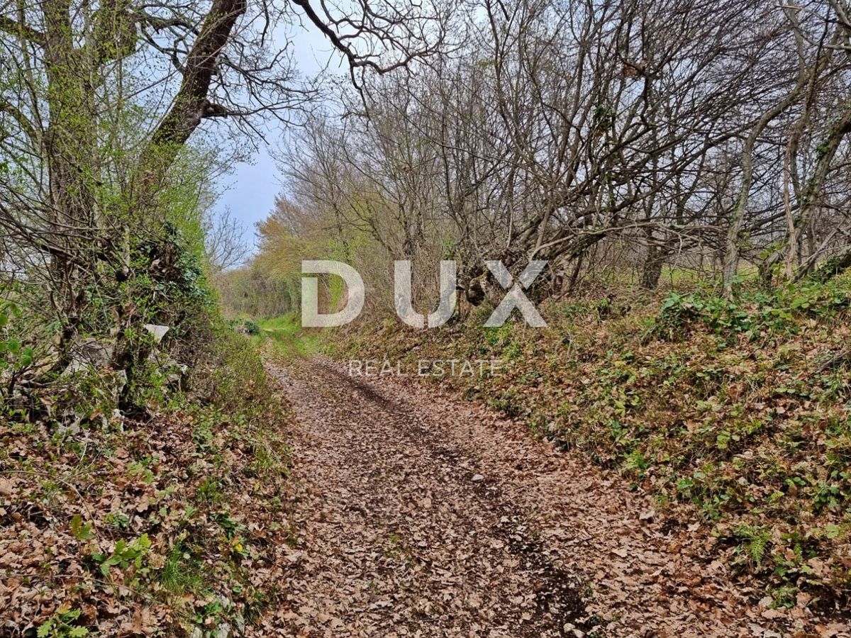 ISTRIA, LABIN - Una tenuta di dimensioni invidiabili