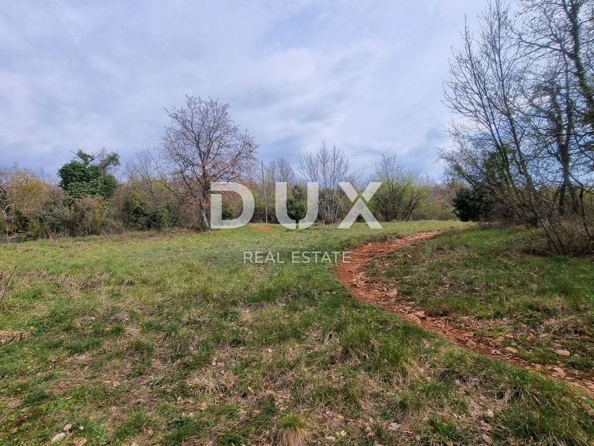 ISTRIA, LABIN - Una tenuta di dimensioni invidiabili