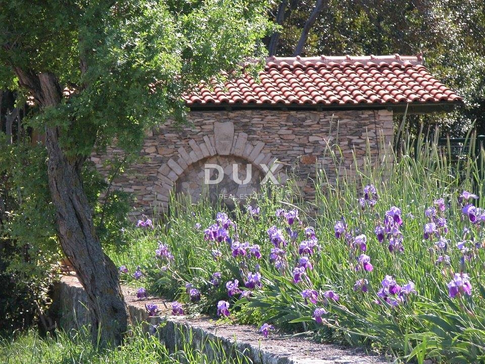 ISTRIA, LIŽNJAN - Tenuta impressionante