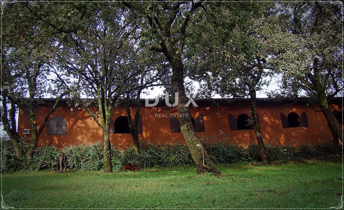 ISTRIA, LIŽNJAN - Tenuta impressionante