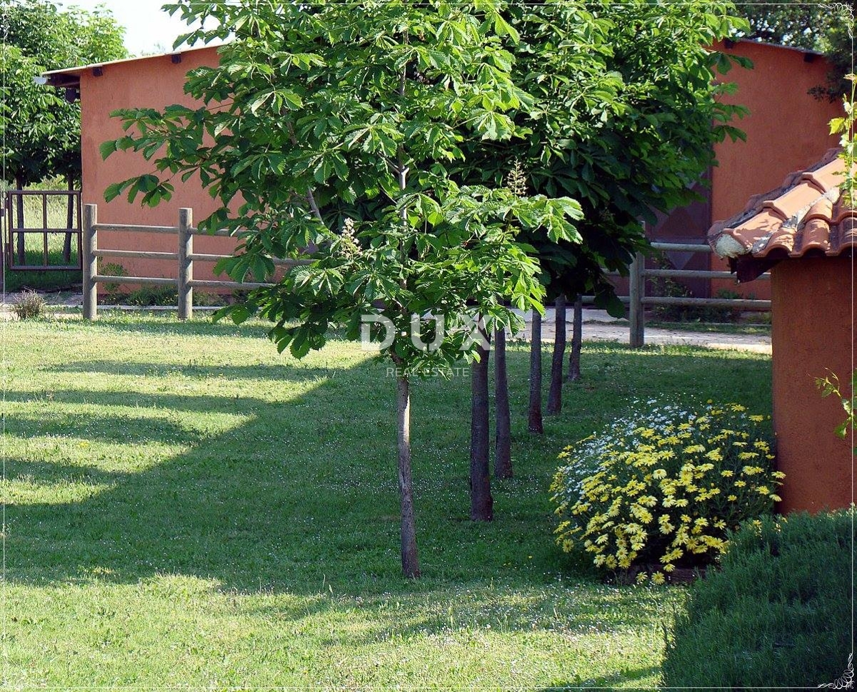 ISTRIA, LIŽNJAN - Tenuta impressionante