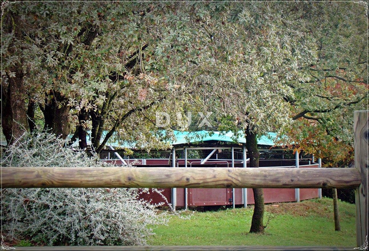 ISTRIA, LIŽNJAN - Tenuta impressionante
