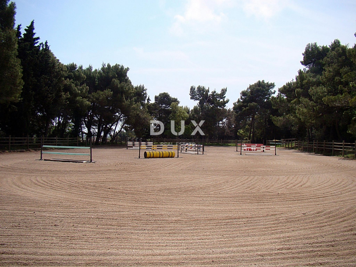 ISTRIA, LIŽNJAN - Tenuta impressionante