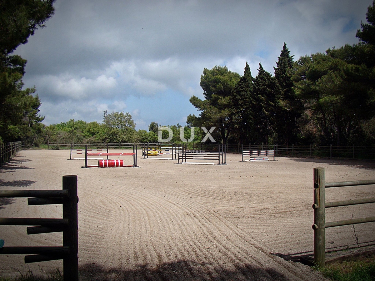 ISTRIA, LIŽNJAN - Tenuta impressionante