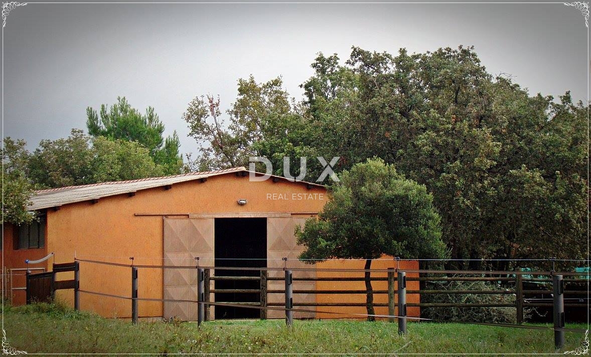 ISTRIA, LIŽNJAN - Tenuta impressionante