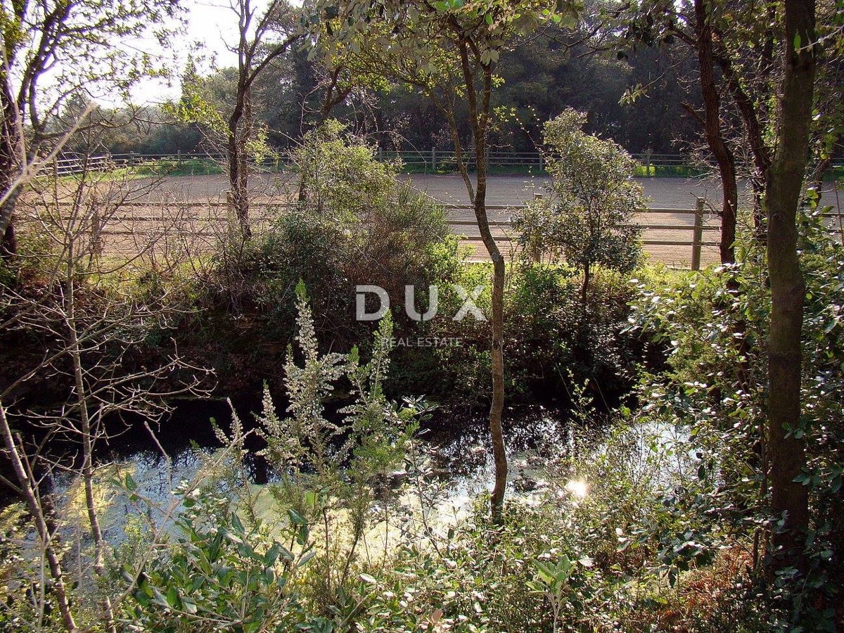 ISTRIA, LIŽNJAN - Tenuta impressionante