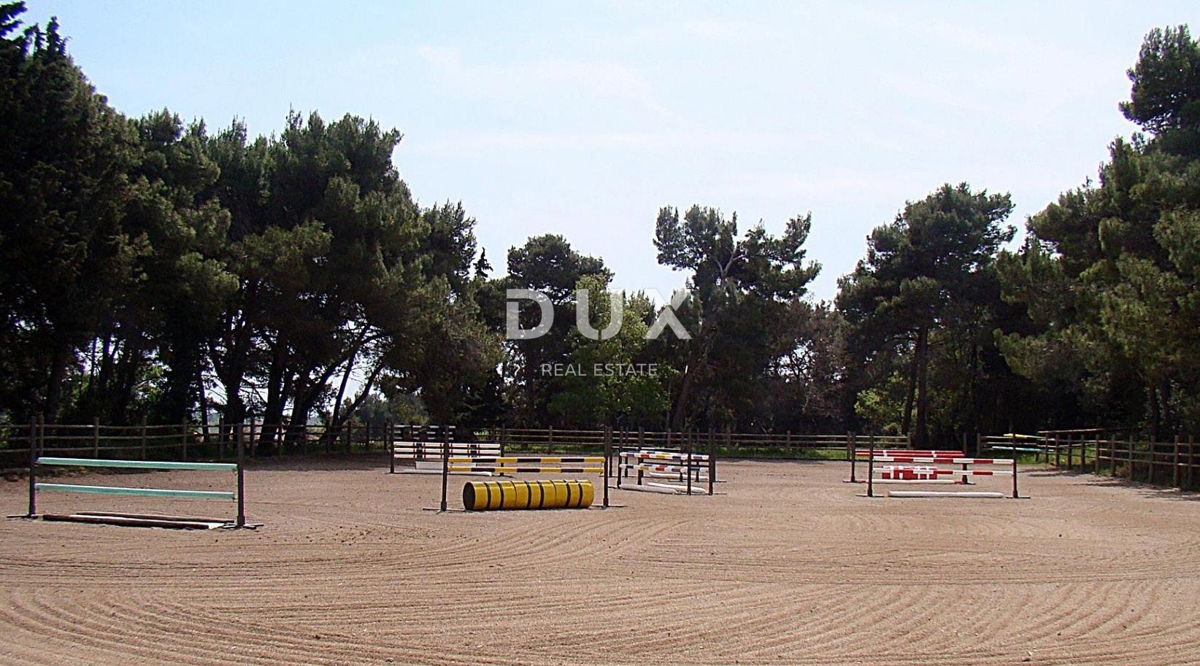 ISTRIA, LIŽNJAN - Tenuta impressionante