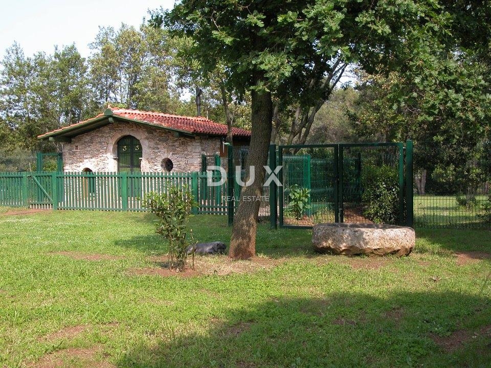 ISTRIA, LIŽNJAN - Tenuta impressionante