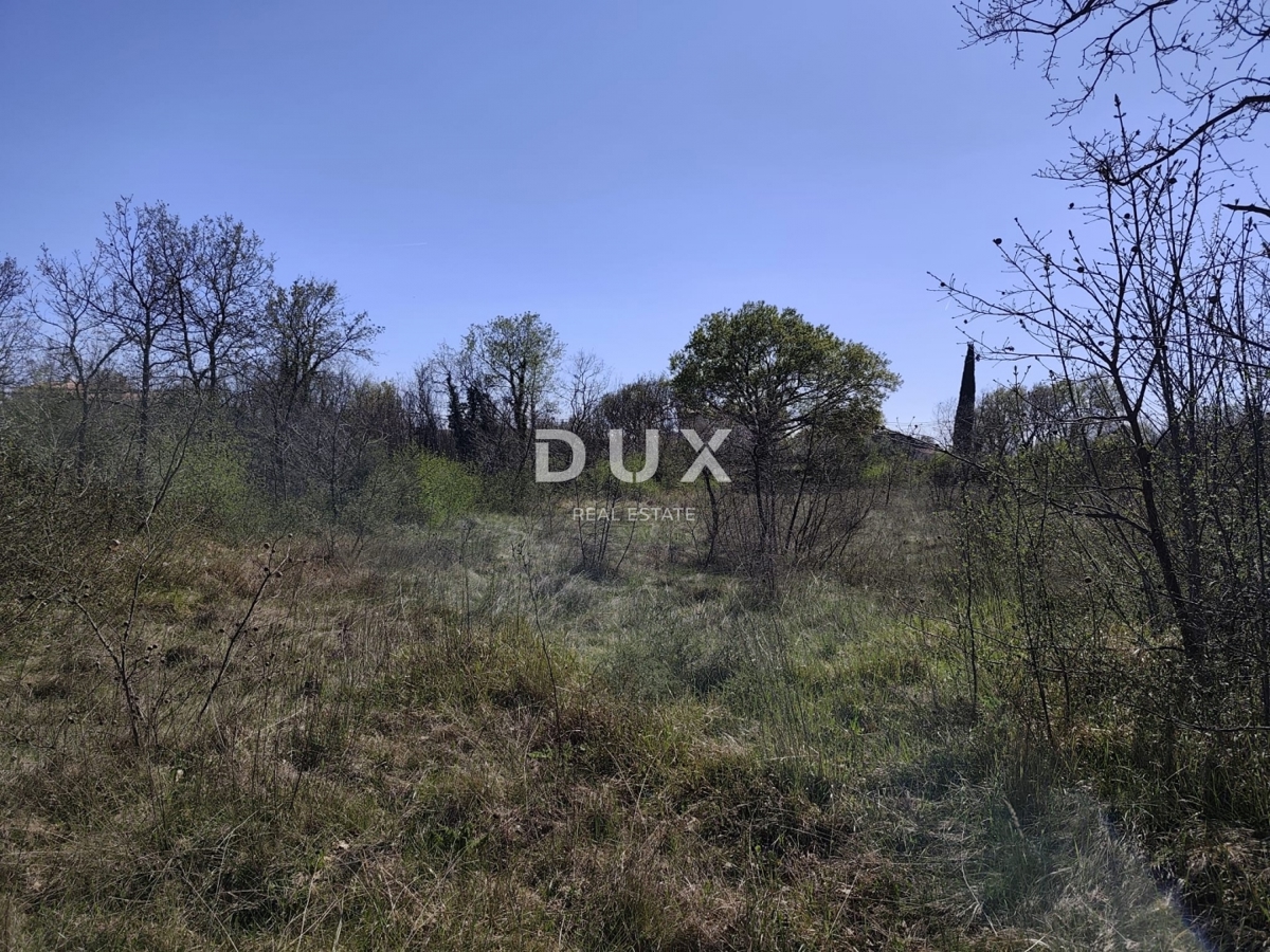 ISTRIA, MARČANA - Progetto di prestigio per una casa a un solo piano con piscina