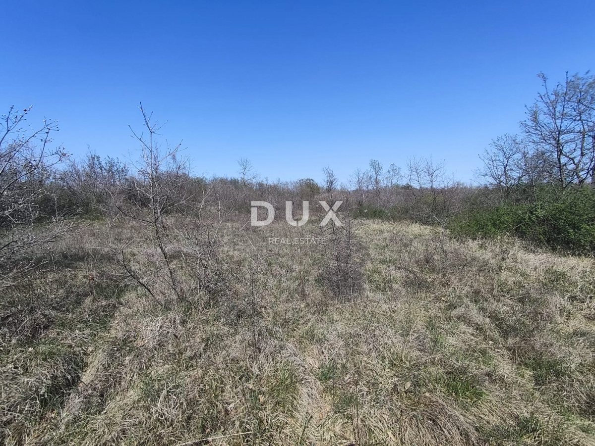 ISTRIA, MARČANA - Progetto di prestigio per una casa a un solo piano con piscina