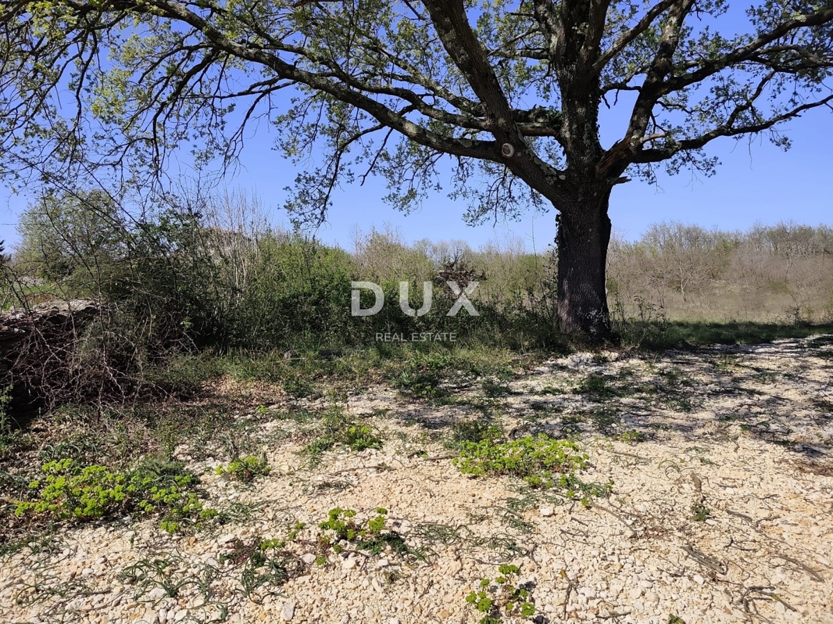 ISTRIA, MARČANA - Progetto di prestigio per una casa a un solo piano con piscina