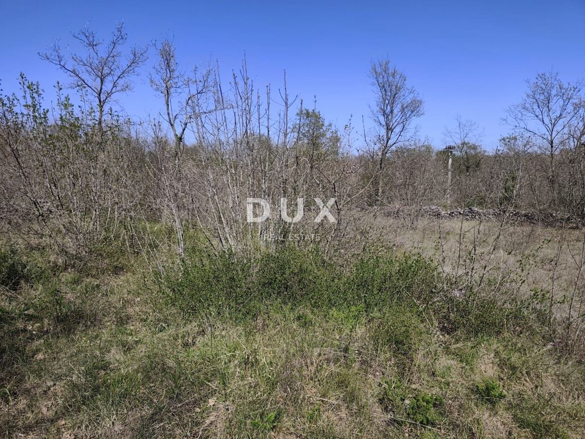 ISTRIA, MARČANA - Progetto di prestigio per una casa a un solo piano con piscina