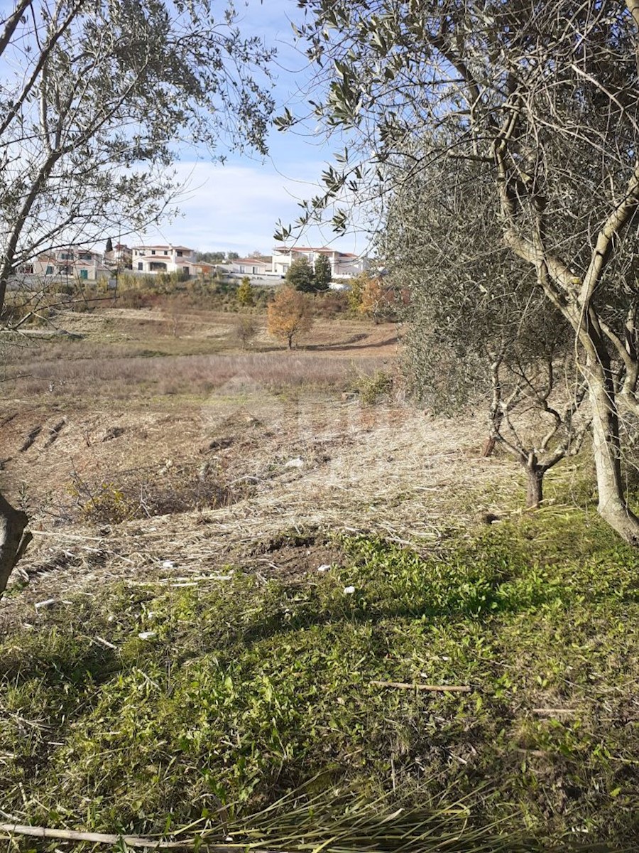 Terreno Vižinada, 1.700m2