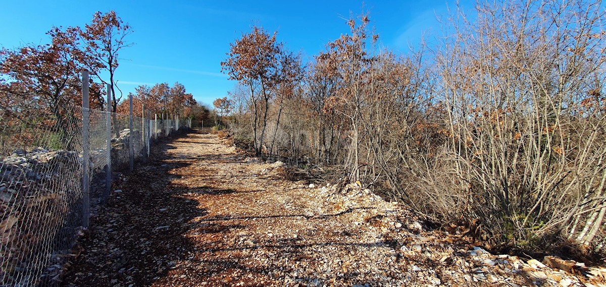 Terreno Smoljanci, Svetvinčenat, 27.000m2