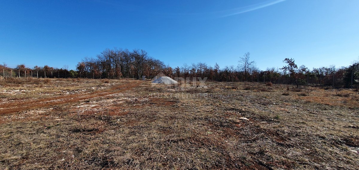 Terreno Smoljanci, Svetvinčenat, 27.000m2