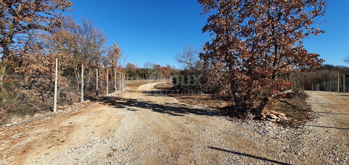 Terreno Smoljanci, Svetvinčenat, 27.000m2