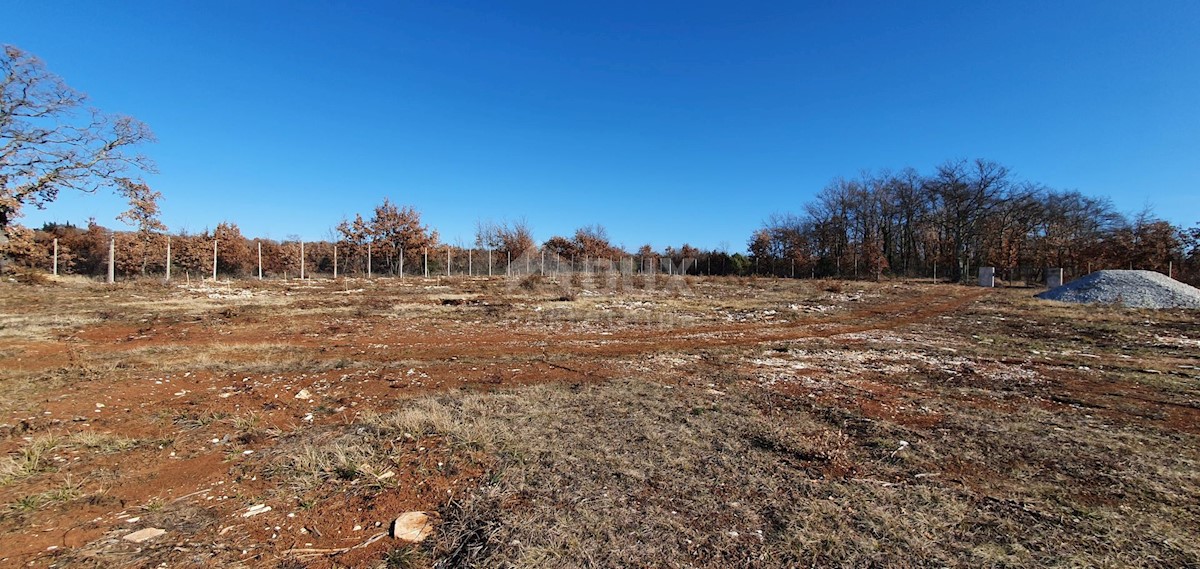 Terreno Smoljanci, Svetvinčenat, 27.000m2