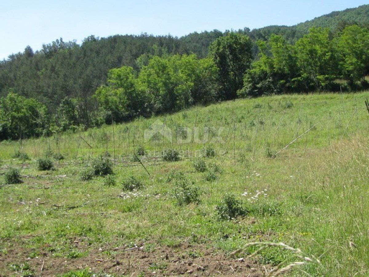 ISTRIA, BUZET - Progetto di una villa moderna con vista sulle bellezze naturali dell'Istria