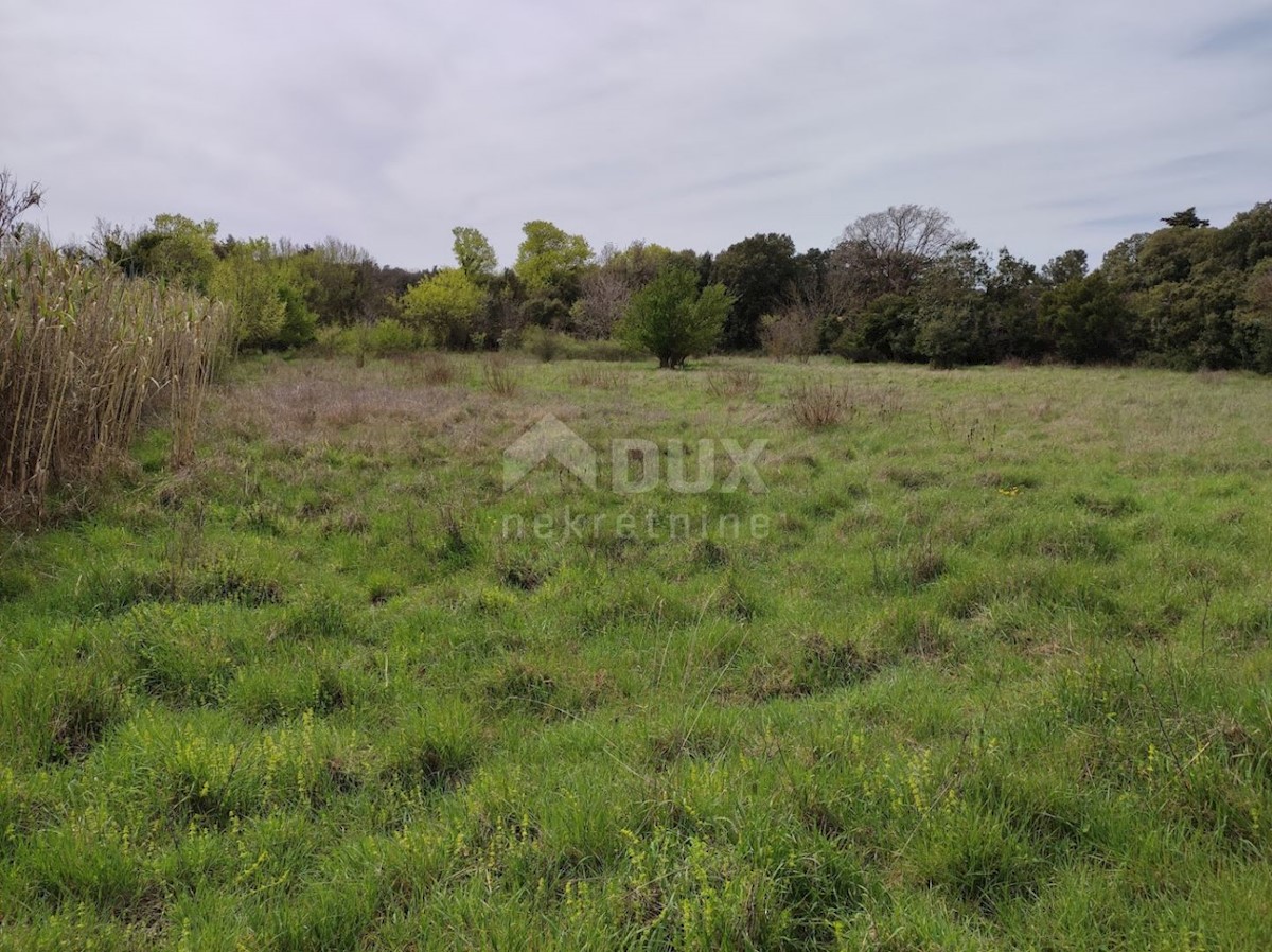 ISTRIA, PUNTIŽELA - Terreno T2 - A 200 m DAL MARE!