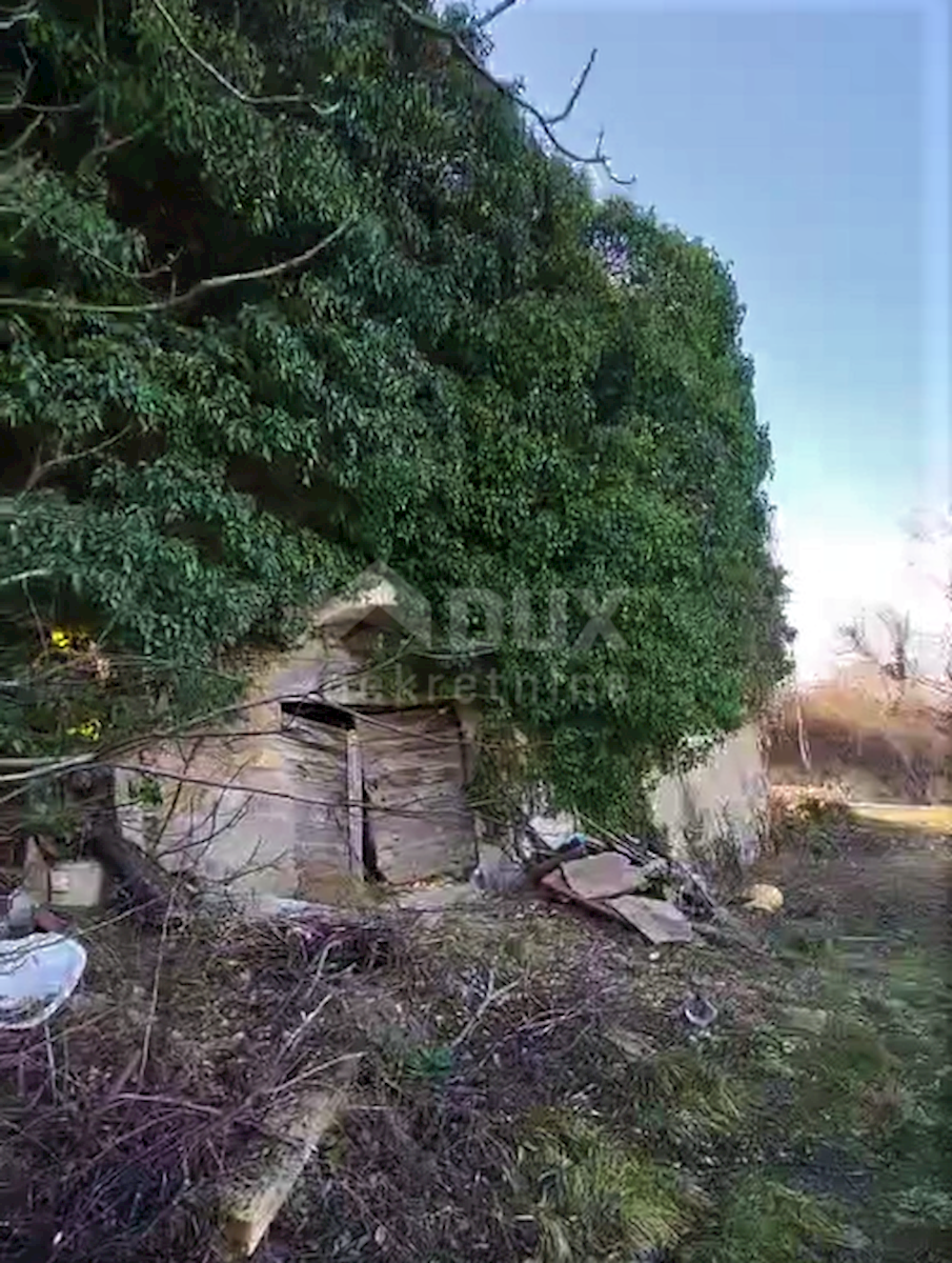 Casa Motovun, 443m2