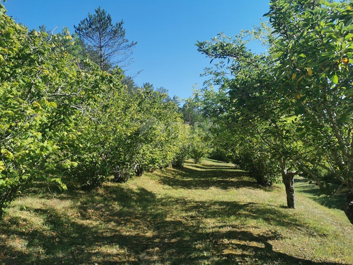 ISTRIA, BUZET (dintorni) - Palazzina con piscina circondata dalla pace e dalla natura