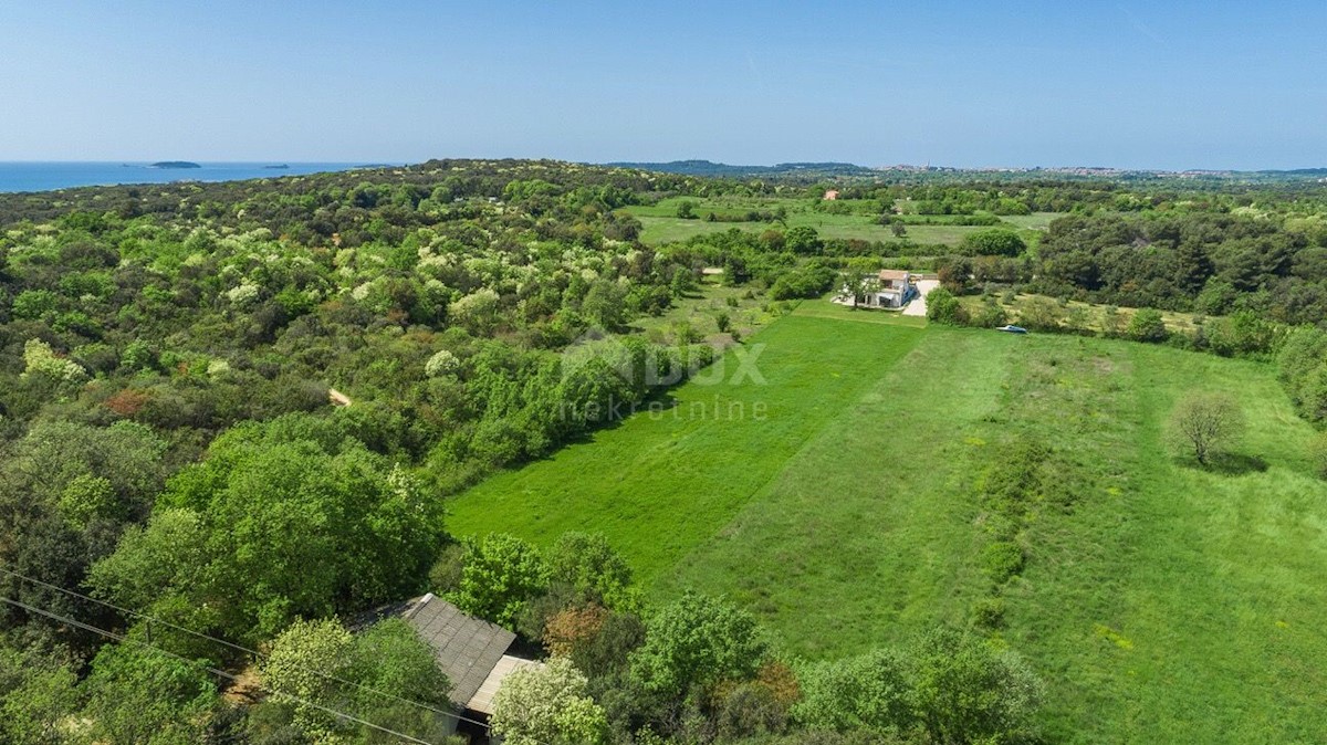 ISTRIA, ROVIGNO - Casa indipendente in zona appartata