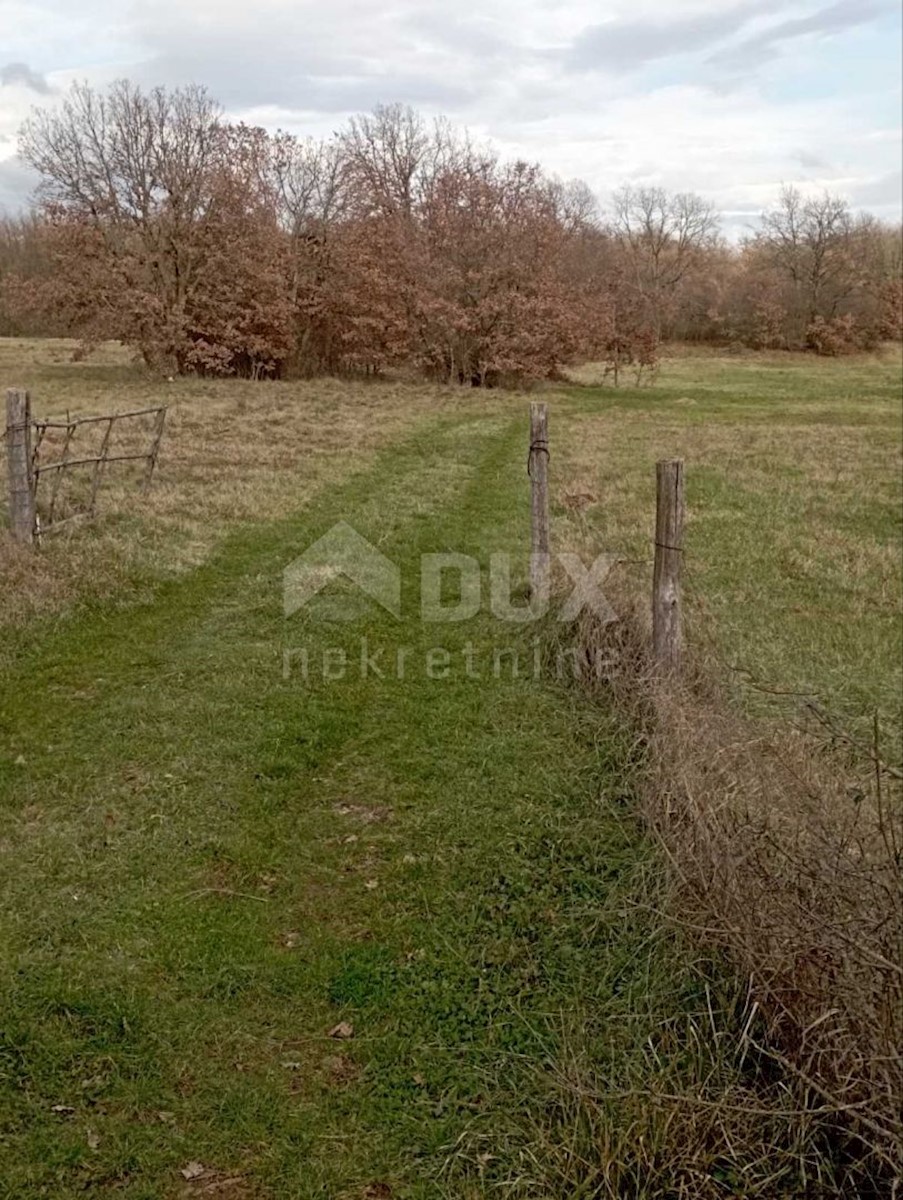 Terreno Krnica, Marčana, 13.300m2