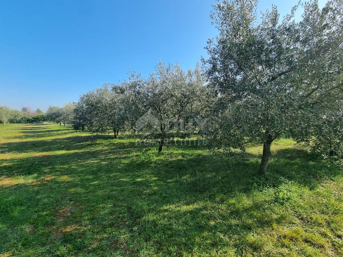 Terreno Fažana, 2.252m2