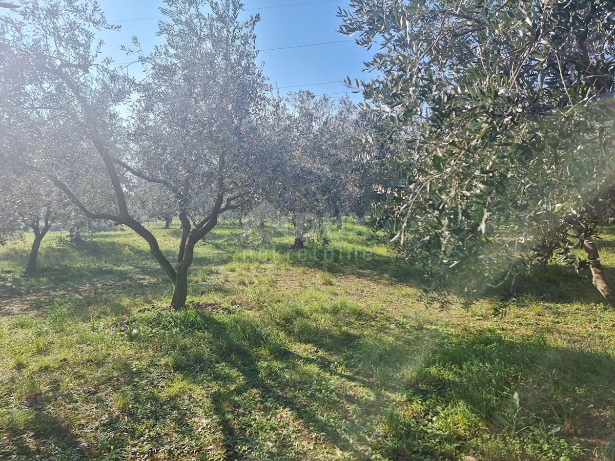 Terreno Fažana, 2.252m2