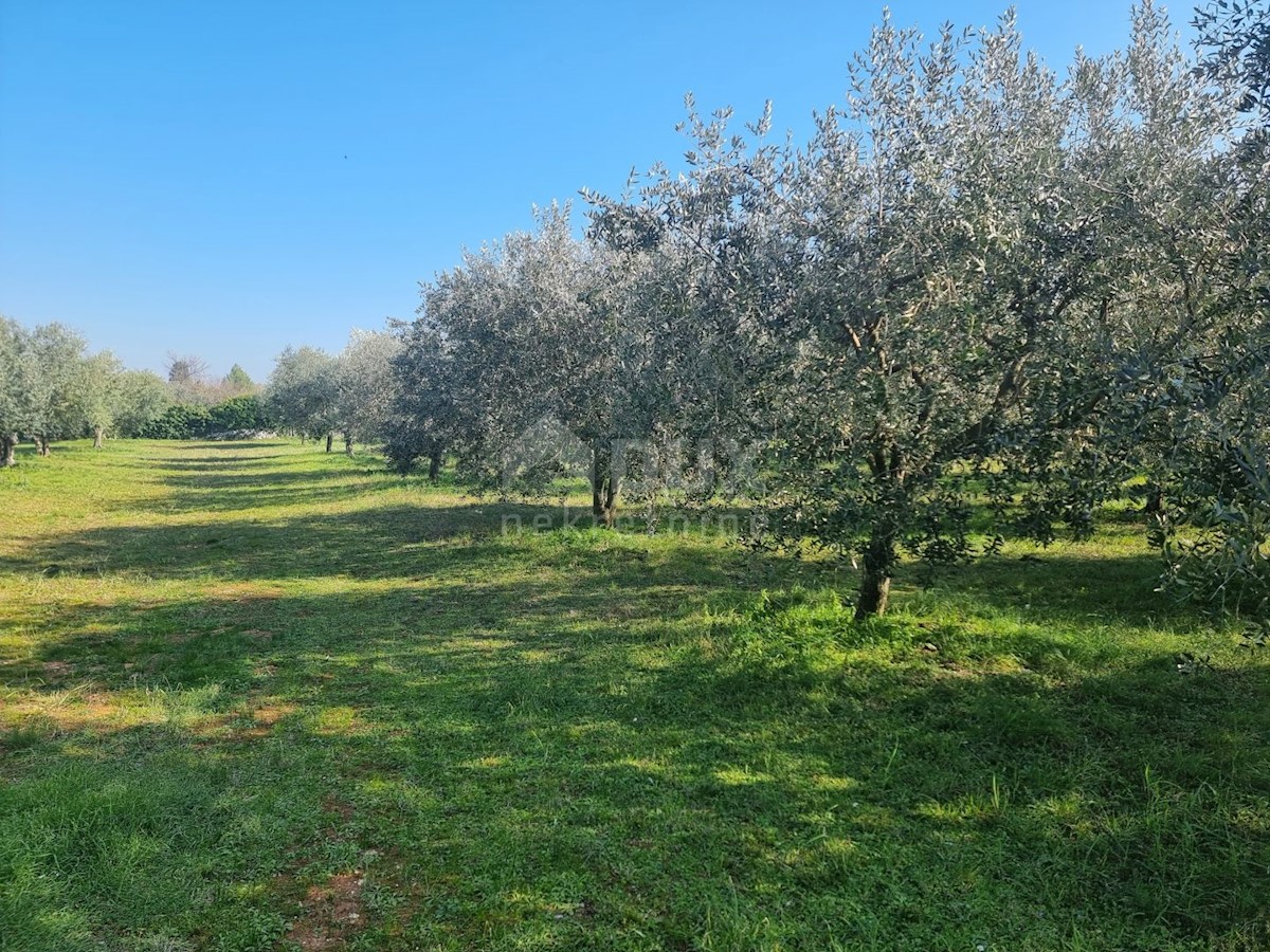 Terreno Fažana, 2.252m2