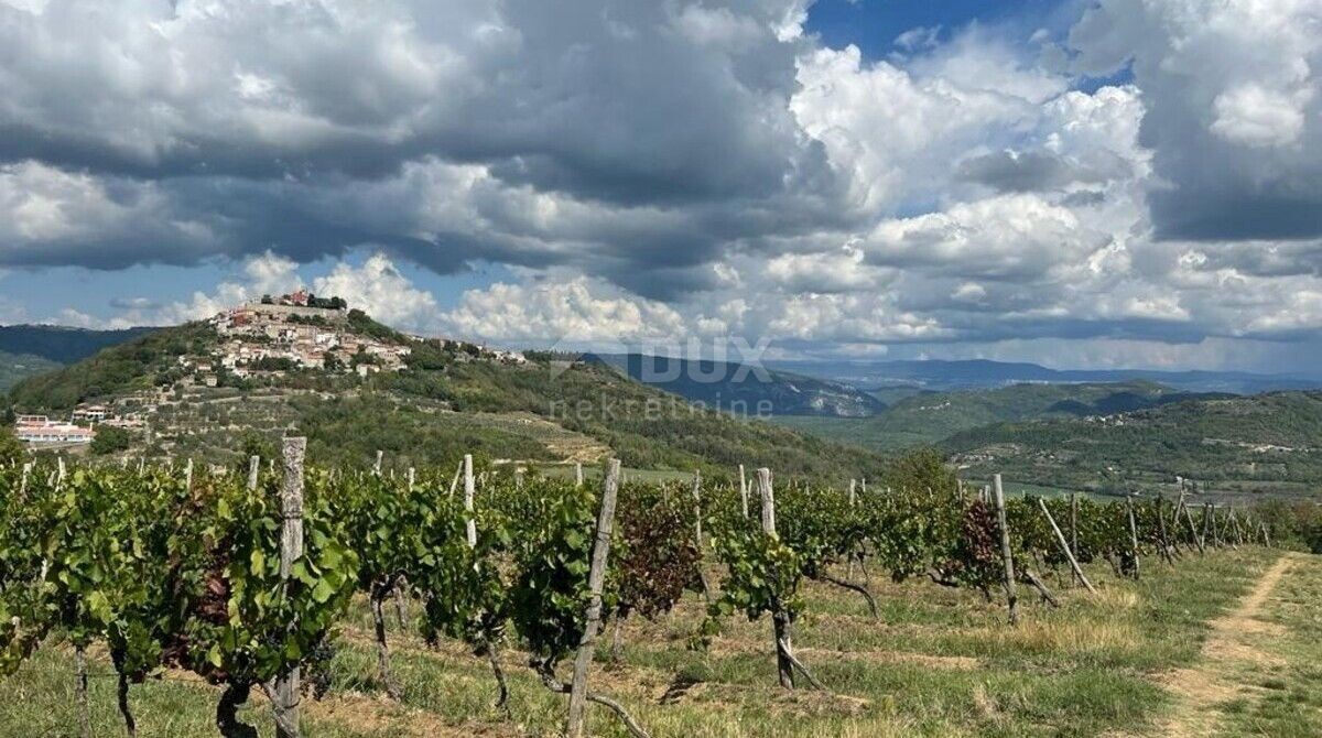 Terreno Motovun, 12.000m2