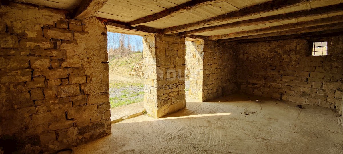 Casa Motovun, 520m2