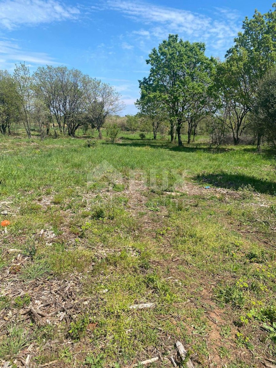 Terreno Ližnjan, 1.000m2